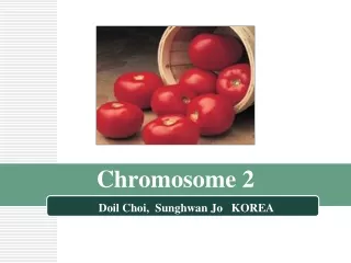 Chromosome 2