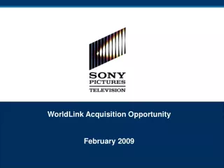 WorldLink Acquisition Opportunity February 2009