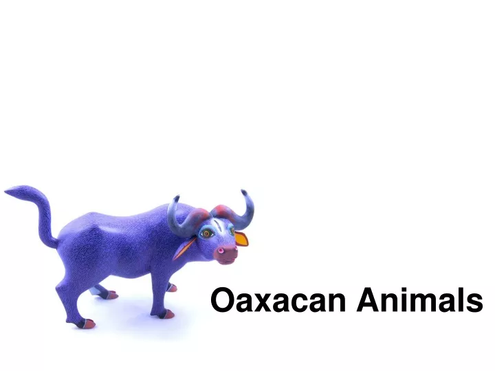 oaxacan animals