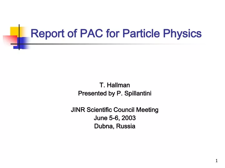 report of pac for particle physics