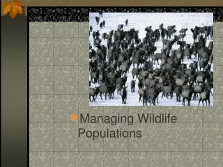 Managing Wildlife Populations