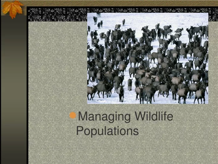 managing wildlife populations