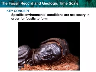 KEY CONCEPT  Specific environmental conditions are necessary in order for fossils to form.