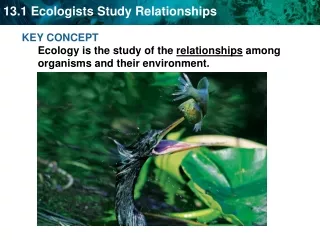 KEY CONCEPT  Ecology is the study of the  relationships  among organisms and their environment.