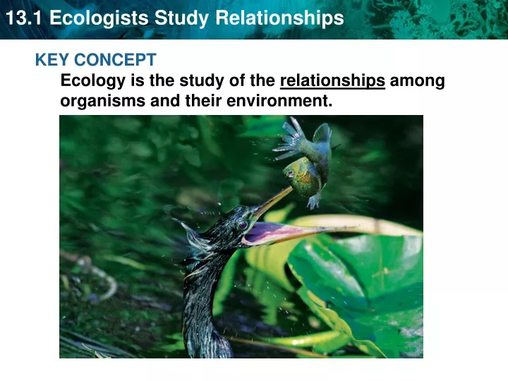 key concept ecology is the study