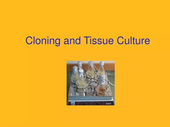 cloning and tissue culture