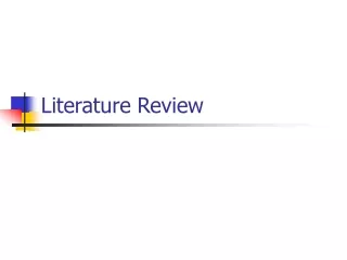 Literature Review