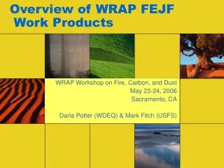 Overview of WRAP FEJF  Work Products