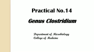 Practical No.14 Genus Clostridium