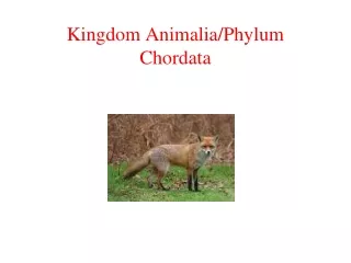 Kingdom Animalia/Phylum Chordata