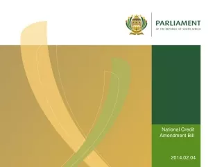 National Credit Amendment Bill