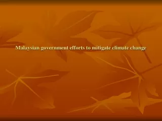 Malaysian government efforts to mitigate climate change