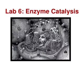 Lab 6: Enzyme Catalysis