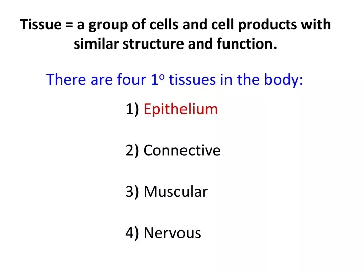 tissue a group of cells and cell products with similar structure and function