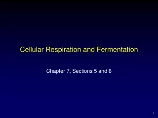 Cellular Respiration and Fermentation