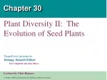 Seeds: The Evolutionary Game Changer in Plant Diversity - slide 1