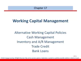 Working Capital Management