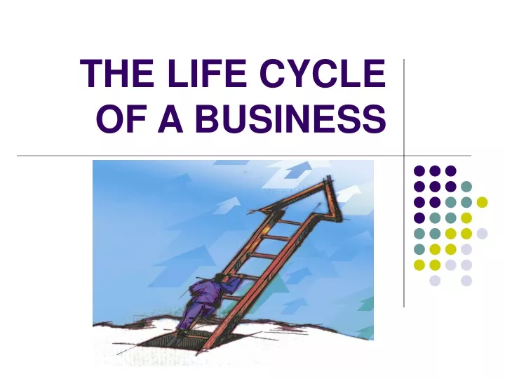 the life cycle of a business