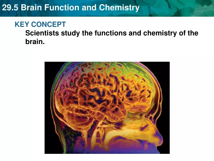 key concept scientists study the functions