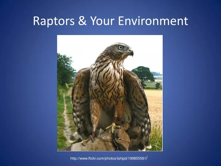 raptors your environment