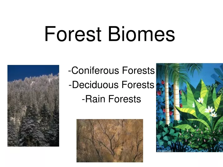 forest biomes