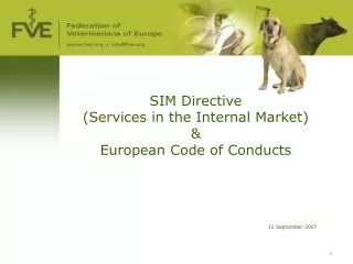 SIM Directive (Services in the Internal Market) &amp; European Code of Conducts