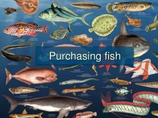 Purchasing fish