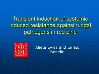Transient induction of systemic induced resistance against fungal pathogens in red pine