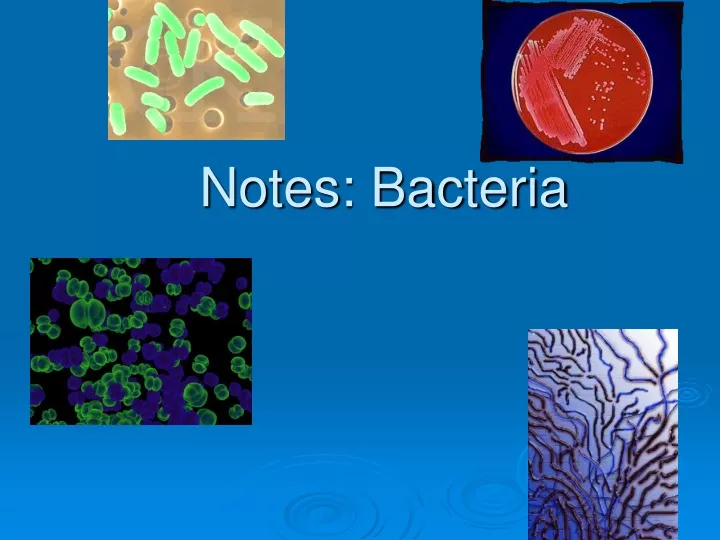 notes bacteria