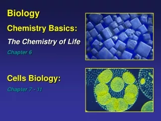 Biology  Chemistry Basics: The Chemistry of Life Chapter 6 Cells Biology:  Chapter 7 - 11