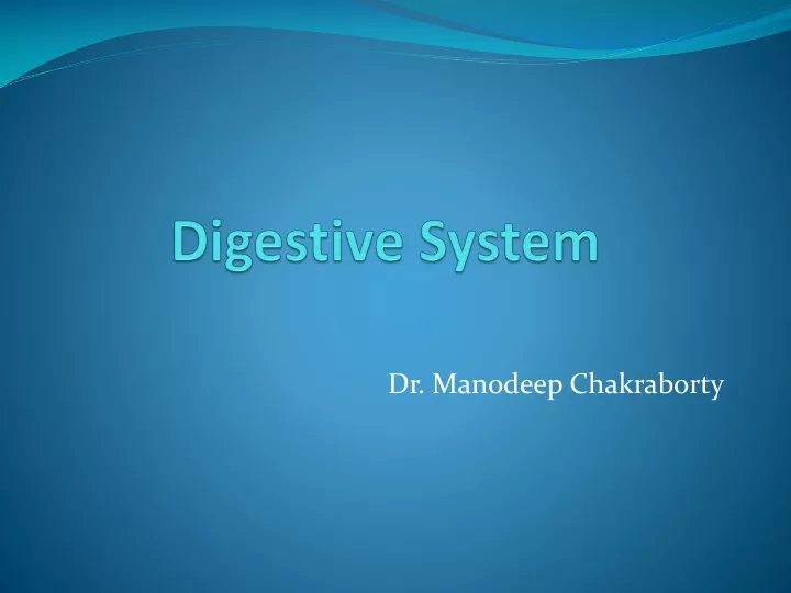 digestive system