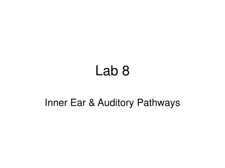 lab 8
