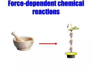 Force-dependent chemical reactions