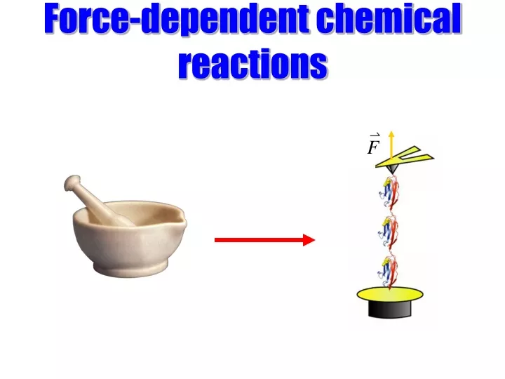 force dependent chemical reactions