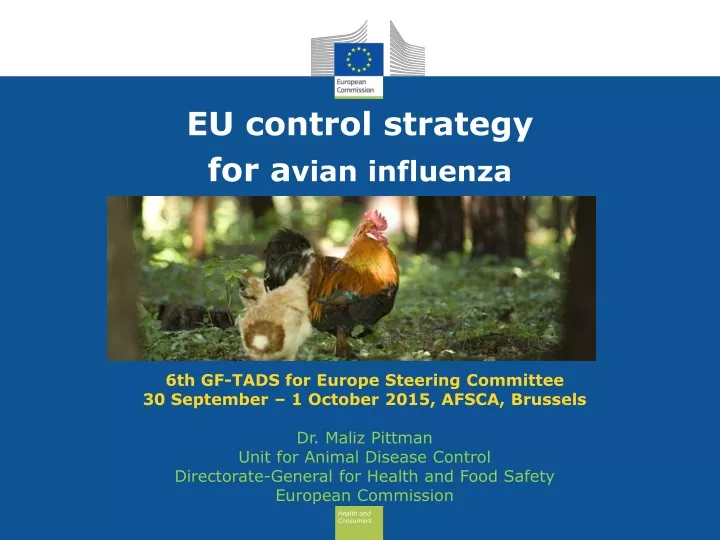 eu control strategy for a vian influenza