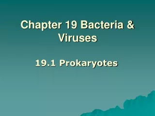 Chapter 19 Bacteria &amp; Viruses