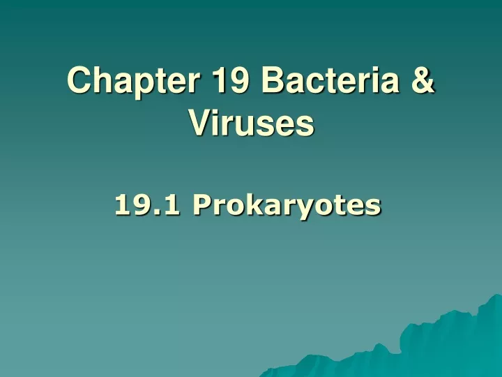 chapter 19 bacteria viruses