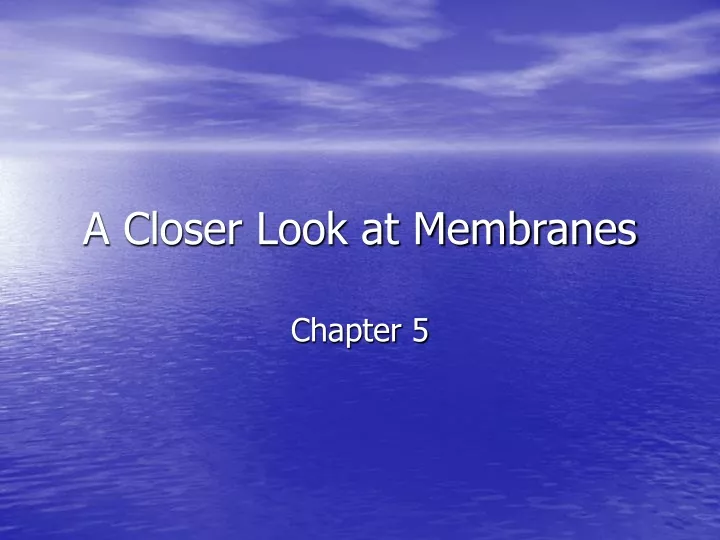 a closer look at membranes