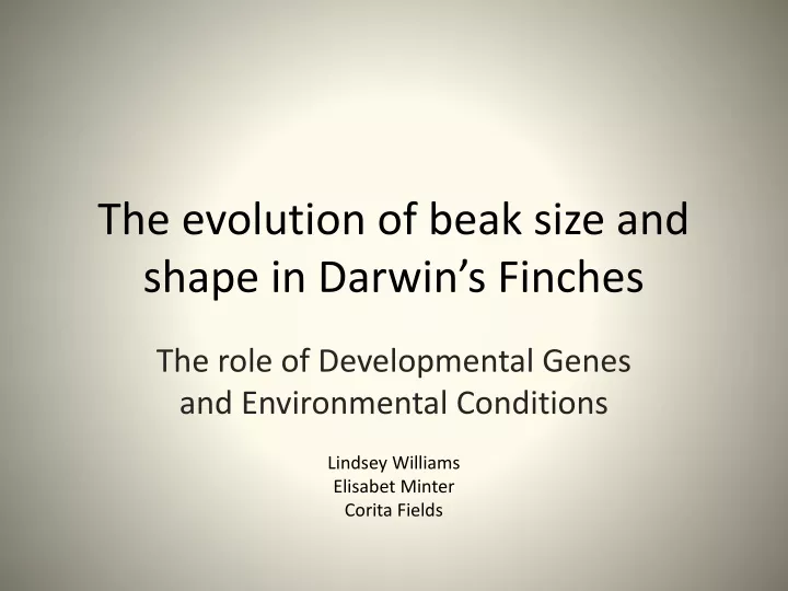 the evolution of beak size and shape in darwin s finches