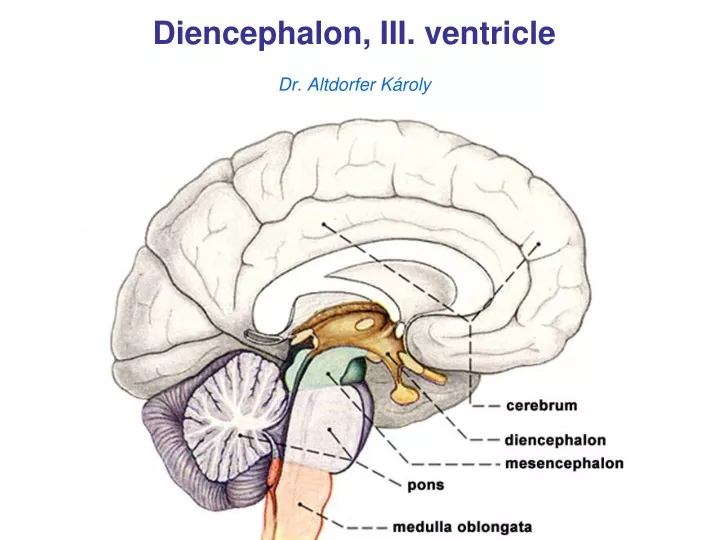 diencephalon iii ventricle dr altdorfer k roly