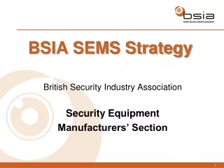 BSIA SEMS Strategy