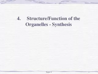 4.	Structure/Function of the Organelles - Synthesis
