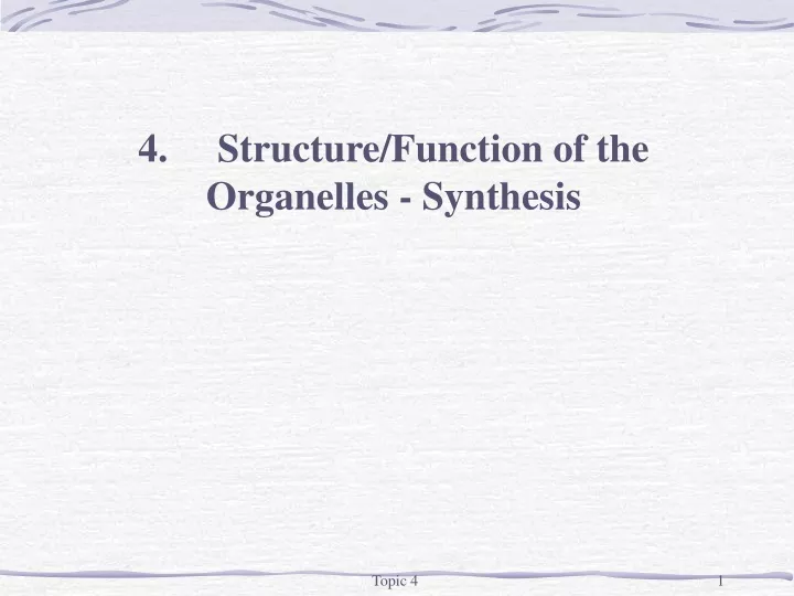4 structure function of the organelles synthesis
