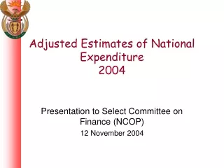 Adjusted Estimates of National Expenditure  2004