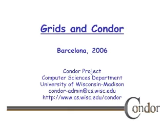Grids and Condor Barcelona, 2006