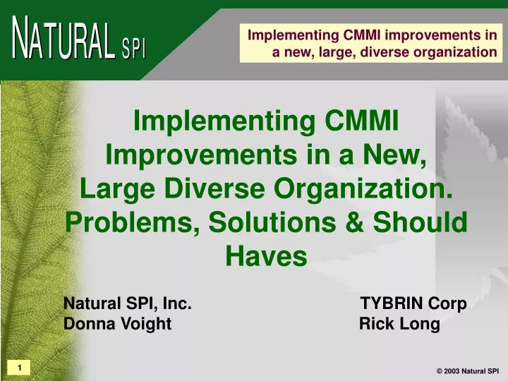 implementing cmmi improvements in a new large