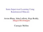 Semi-Supervised Learning Using Randomized Mincuts - slide 1