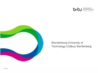 Brandenburg University  of  Technology Cottbus-Senftenberg