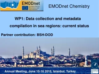 Annual Meeting, June 15-16 2015, Istanbul, Turkey