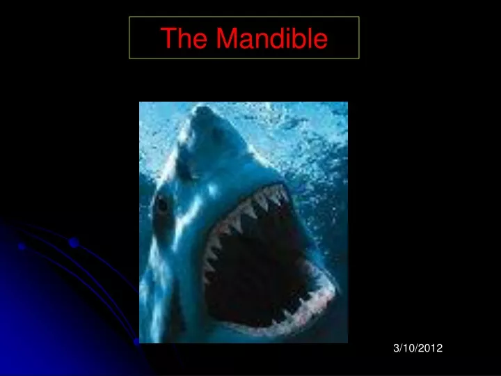 the mandible